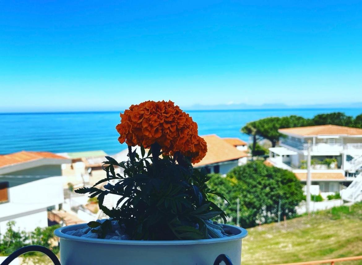 Blue Sea B&B Castellabate Esterno foto
